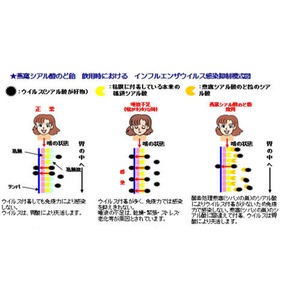 舐めるマスク　燕窩シアル酸のど飴　　紅茶（レモンティー）風味 5袋セット