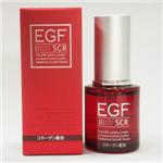 EGFSCR ���顼���� Essence