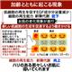 EGFSCR ���顼���� Essence