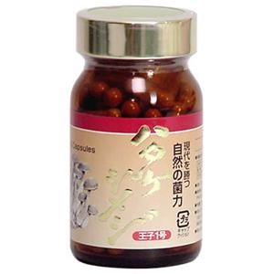 �n�^�P�V���W���q1��