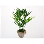 ���G�} �T�C�v���X KO-10 (2-3���p)