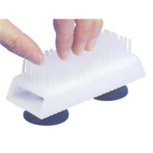 �v���g�E���� �܃u���V