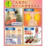 ゼトールマックス