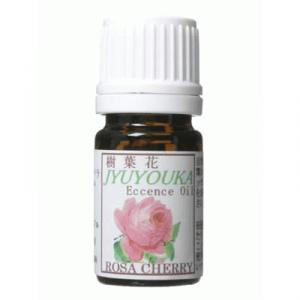 ���t�ԃG�b�Z���X�I�C�� ���[�U�`�F���[