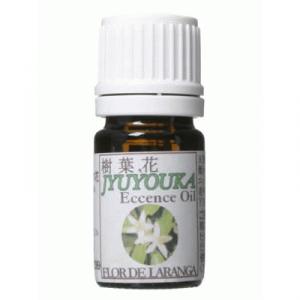 ���t�ԃG�b�Z���X�I�C�� �������W�F