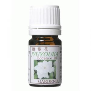 ���t�ԃG�b�Z���X�I�C�� �K�[�f�j�A