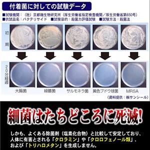 �E�B���X�{���I