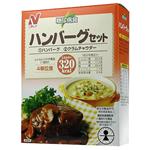 糖尿病食 ハンバーグセット