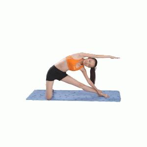 ���K�}�b�g �u���[ (���t��) STT141