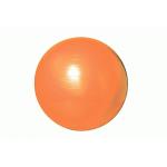 デトックスボール55cm