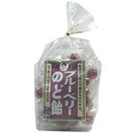 �֥롼�٥꡼�Τɰ� 170g