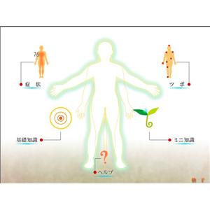 家庭の医学 ツボ指圧事典