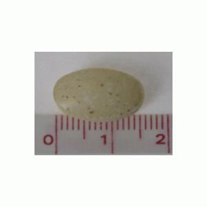 �l�C�`���[���C�h �}���`�r�^�~��&�~�l���� 100��