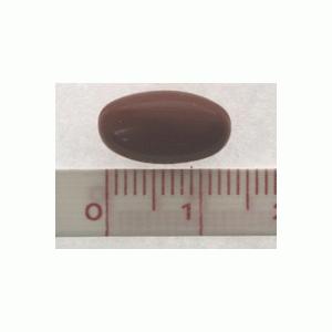 �l�C�`���[���C�h �R�G���U�C��Q10