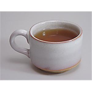  快朝通秘茶 54袋入