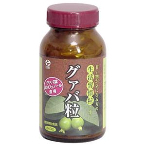 �O�@�o�� 240��