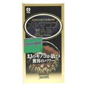 ���V�}�R�u�ێ��� 360��