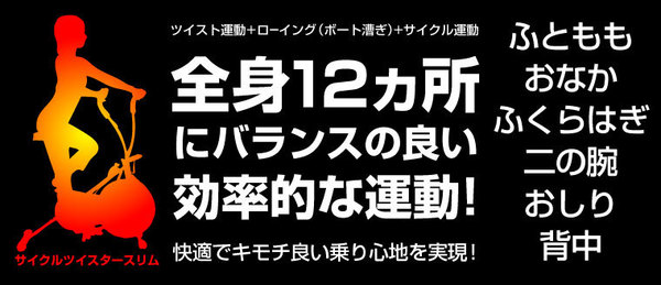 サイクルツイスタースリム+テンションベルト3本セット