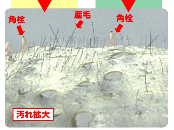 パイン 豆乳 プルピカ産毛パック 100g の効果