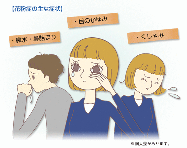 花粉対策グッズ「ポレノン(pollenon)」 3個セット