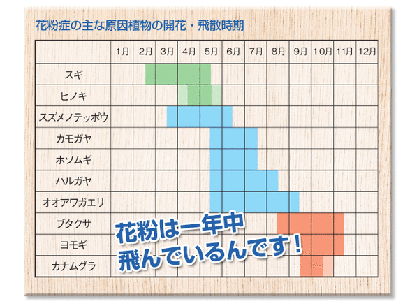 花粉対策グッズ「ポレノン(pollenon)」 3個セット