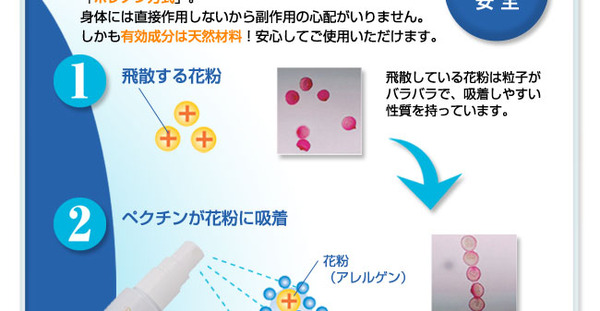 花粉対策グッズ「ポレノン(pollenon)」 3個セット