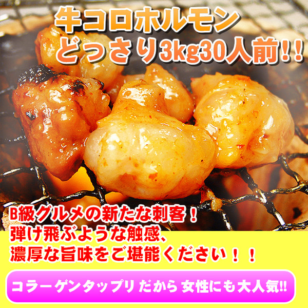 牛丸コロホルモン♪どっさり3kg 30人前!!