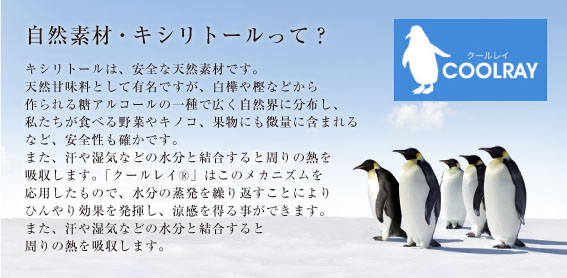 イメージ画像3