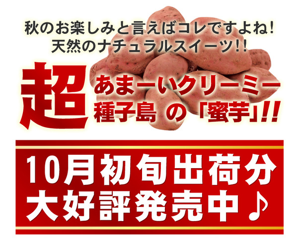 夢百笑 種子島蜜芋 5Kg 【安納芋(あんのういも)】
