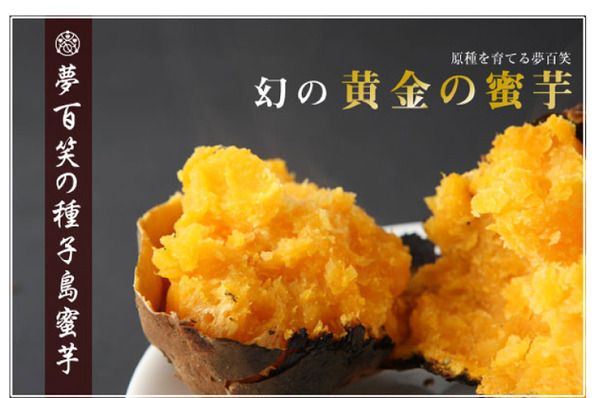 夢百笑 種子島蜜芋 5Kg 【安納芋(あんのういも)】