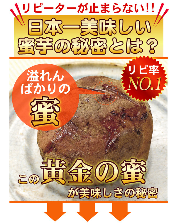 夢百笑 種子島蜜芋 5Kg 【安納芋(あんのういも)】