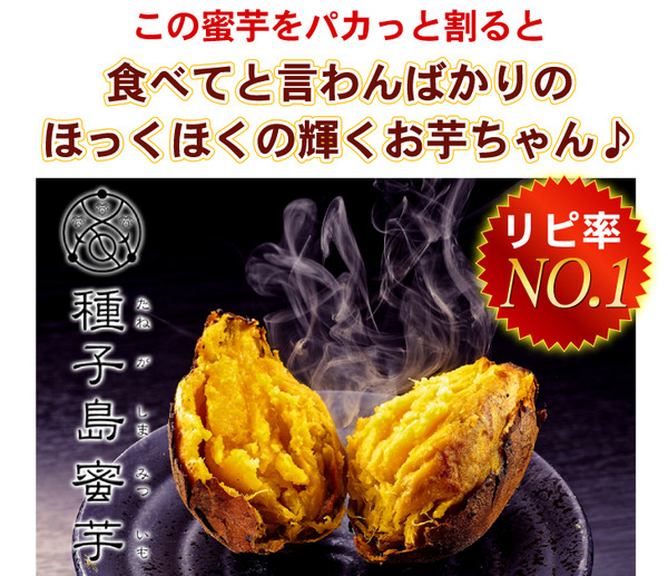 夢百笑 種子島蜜芋 5Kg 【安納芋(あんのういも)】