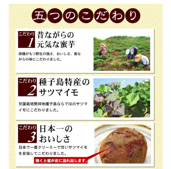 夢百笑 種子島蜜芋 5Kg 【安納芋(あんのういも)】