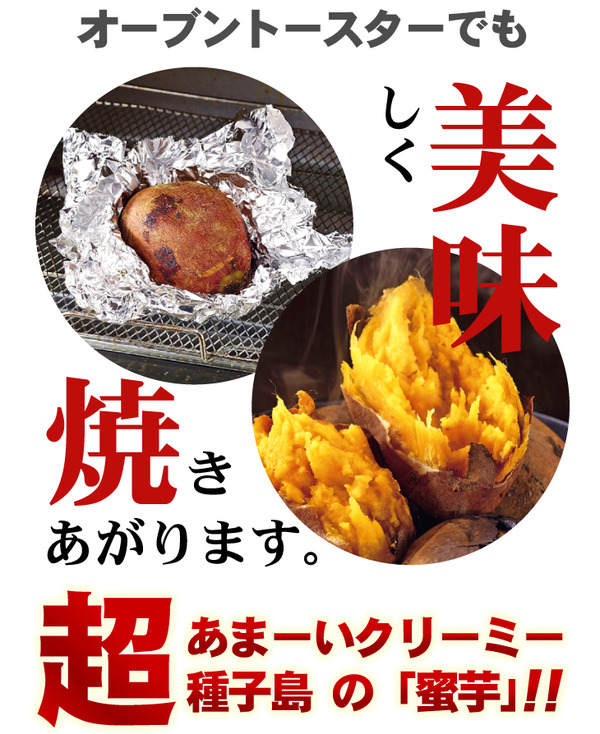 夢百笑 種子島蜜芋 5Kg 【安納芋(あんのういも)】