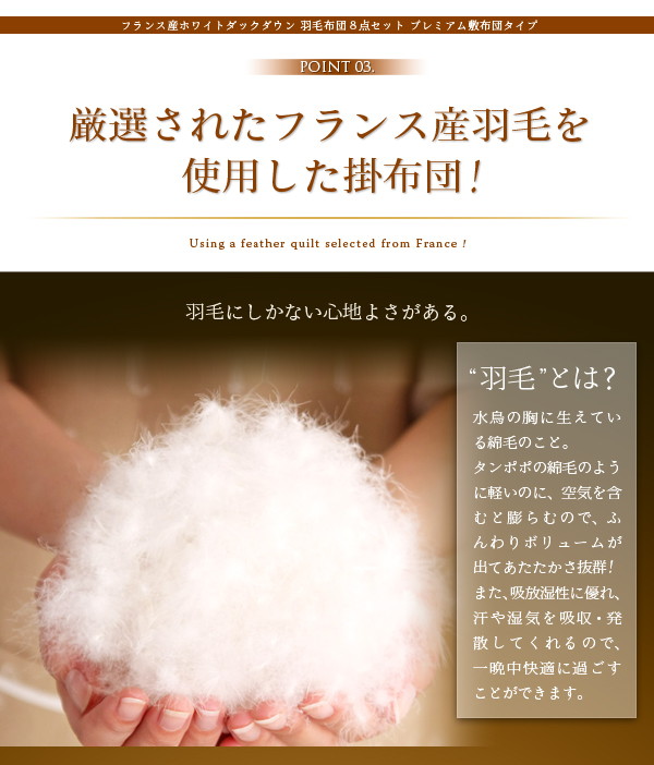 PR画像