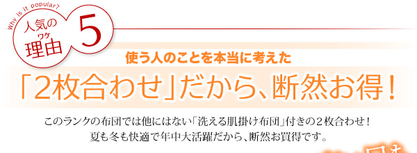 布団8点セット シングル【ベッドタイプ】パウダーブルー 〈3年保証〉新20色羽根布団セット
