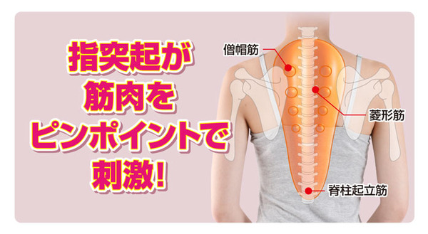 背中ストレッチャー
