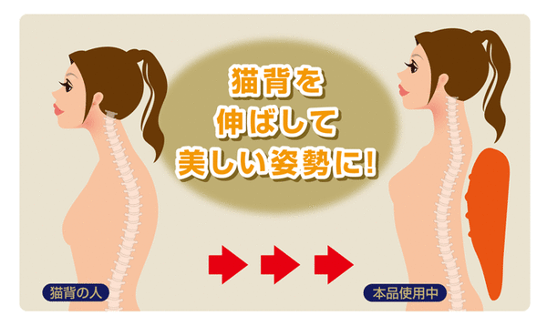 背中ストレッチャー