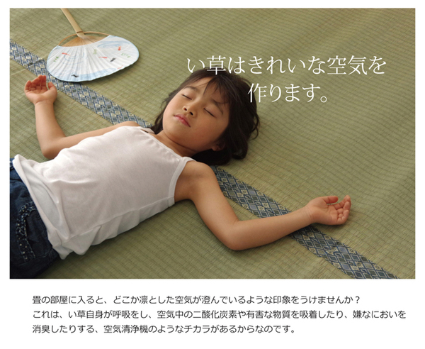 純国産/日本製 糸引織 い草上敷 『柿田川』 江戸間4.5畳(約261×261cm)