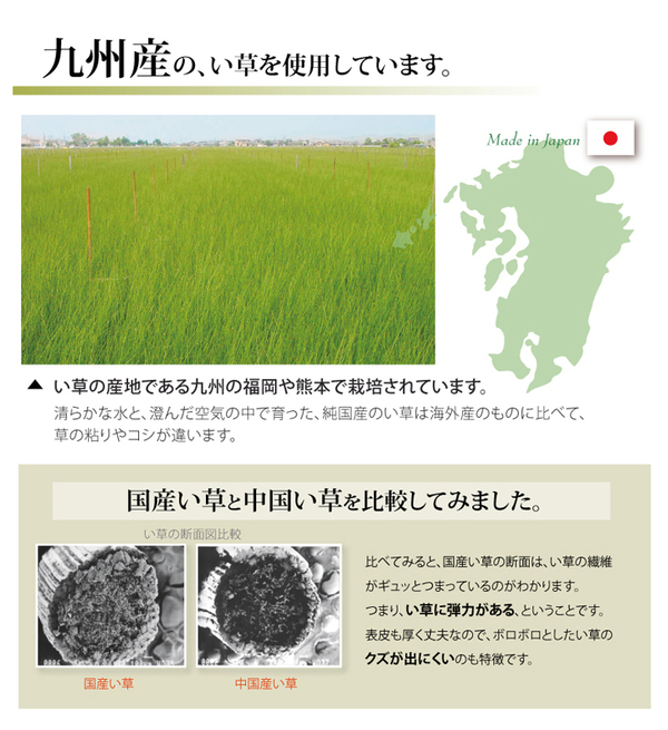 純国産/日本製 糸引織 い草上敷 『柿田川』 本間8畳(約382×382cm)