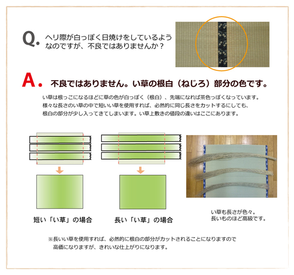 純国産/日本製 糸引織 い草上敷 『柿田川』 本間8畳(約382×382cm)