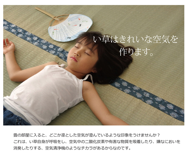 純国産/日本製 双目織 い草上敷 『ほほえみ』 本間4.5畳(約286×286cm)