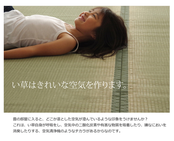 純国産/日本製 双目織 い草上敷 『草津』 本間2畳(約191×191cm)