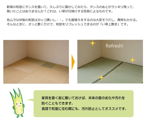純国産/日本製 双目織 い草上敷 『松』 六一間8畳(約370×370cm)