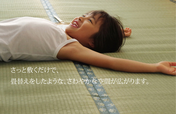 純国産/日本製 双目織 い草上敷 『松』 六一間8畳(約370×370cm)