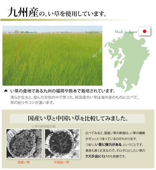 純国産/日本製 双目織 い草上敷 『松』 本間3畳(約191×286cm)