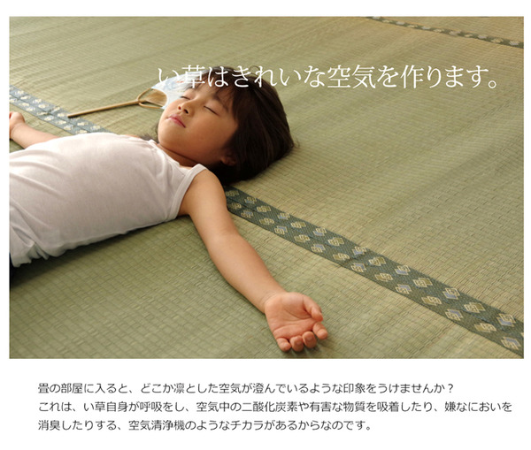 純国産/日本製 双目織 い草上敷 『松』 本間3畳(約191×286cm)