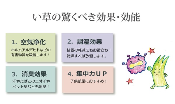 純国産/日本製 双目織 い草上敷 『松』 本間3畳(約191×286cm)