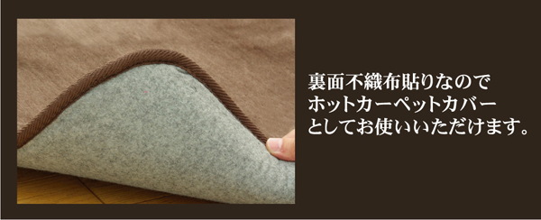 洗える ウォッシャブルラグカーペット 『WSウェンデルNSK』 グリーン 200×250cm