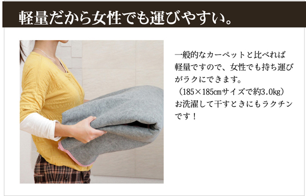 洗える ウォッシャブルラグカーペット 『WSウェンデルNSK』 グリーン 200×250cm